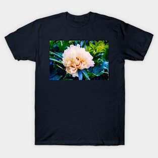 Yellow Peony 6 T-Shirt